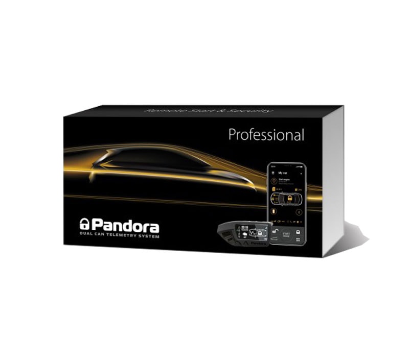 Pandora Professional