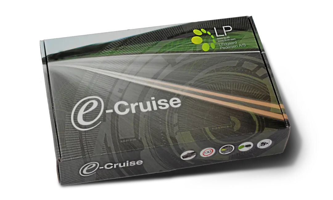 E-Cruise Control